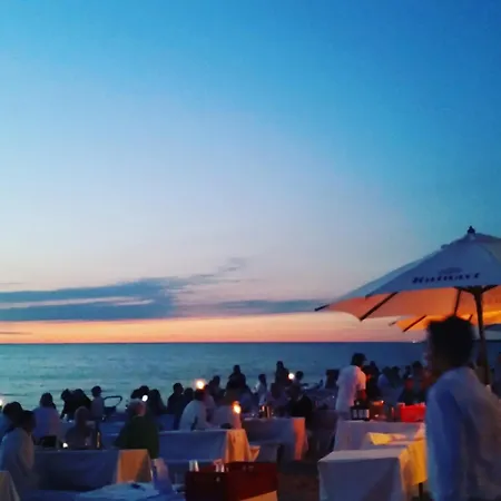 Lachmoewe App 35 Neuhaus (Mecklenburg-Vorpommern)